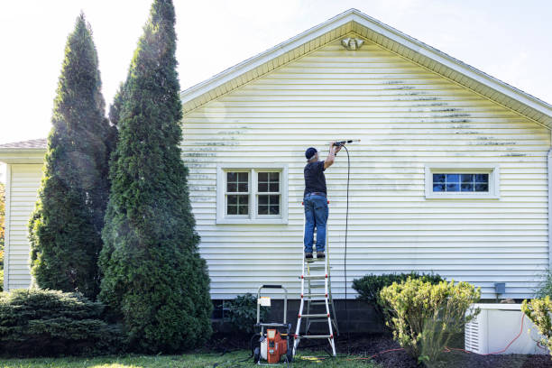 Why Choose Our Certified Pressure Washing Experts for Your Project Needs in Dexter, OR?